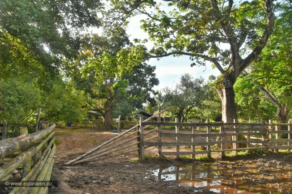 Talanquera Llanera: Tesoro Cultural y Tradición 3 15 finca el paraiso yopal casanare colombia turismo aventura tradicion entornos pasadia actividad llanero dia ordeno casa campestre 79