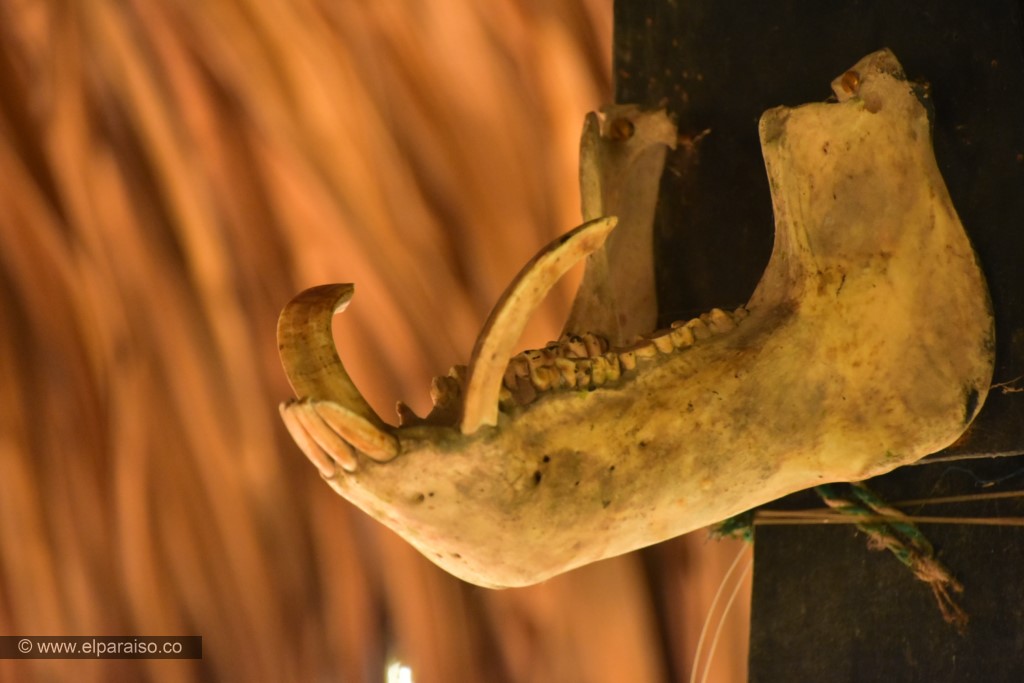 15 finca el paraiso yopal casanare colombia turismo aventura tradicion pasadia actividad historia llaneridad museo llanero casa antigua cultura cuero apero caballeriza rancho palma 132