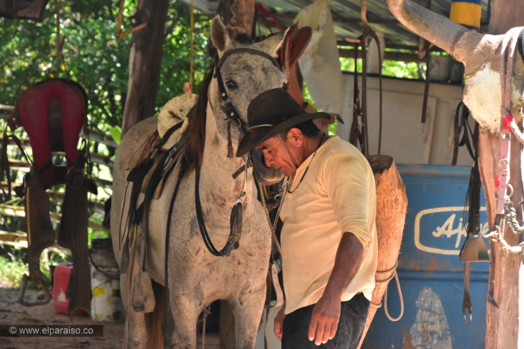 15 finca el paraiso yopal casanare colombia turismo aventura tradicion pasadia actividad historia llaneridad museo llanero casa antigua cultura cuero apero caballeriza rancho palma 171