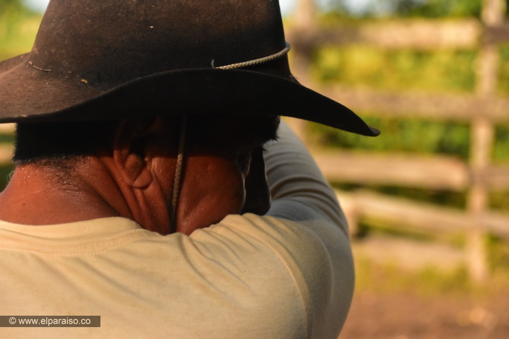 15 finca el paraiso yopal casanare colombia turismo aventura tradicion pasadia actividad llanero dia ordeno vacas ubres ninos turistas terneros 246