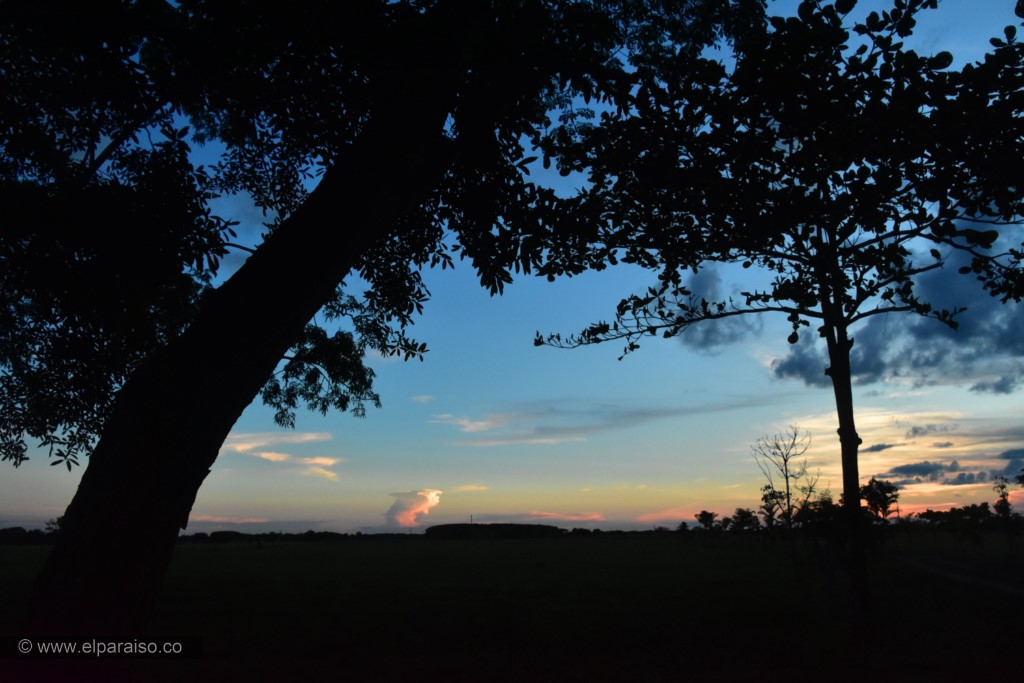 15 finca el paraiso yopal casanare colombia turismo aventura tradicion pasadia actividad llanero dia sabana llano potrero atardecer paisaje 31