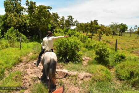 15 finca el paraiso yopal casanare colombia turismo aventura tradicion plan pasadia cabalgata caballos atardecer llanura turistas sabana 100
