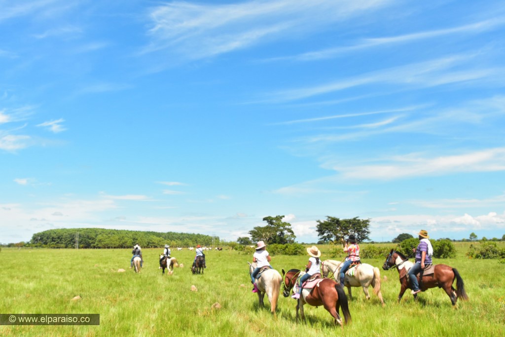 15 finca el paraiso yopal casanare colombia turismo aventura tradicion plan pasadia cabalgata caballos atardecer llanura turistas sabana 225