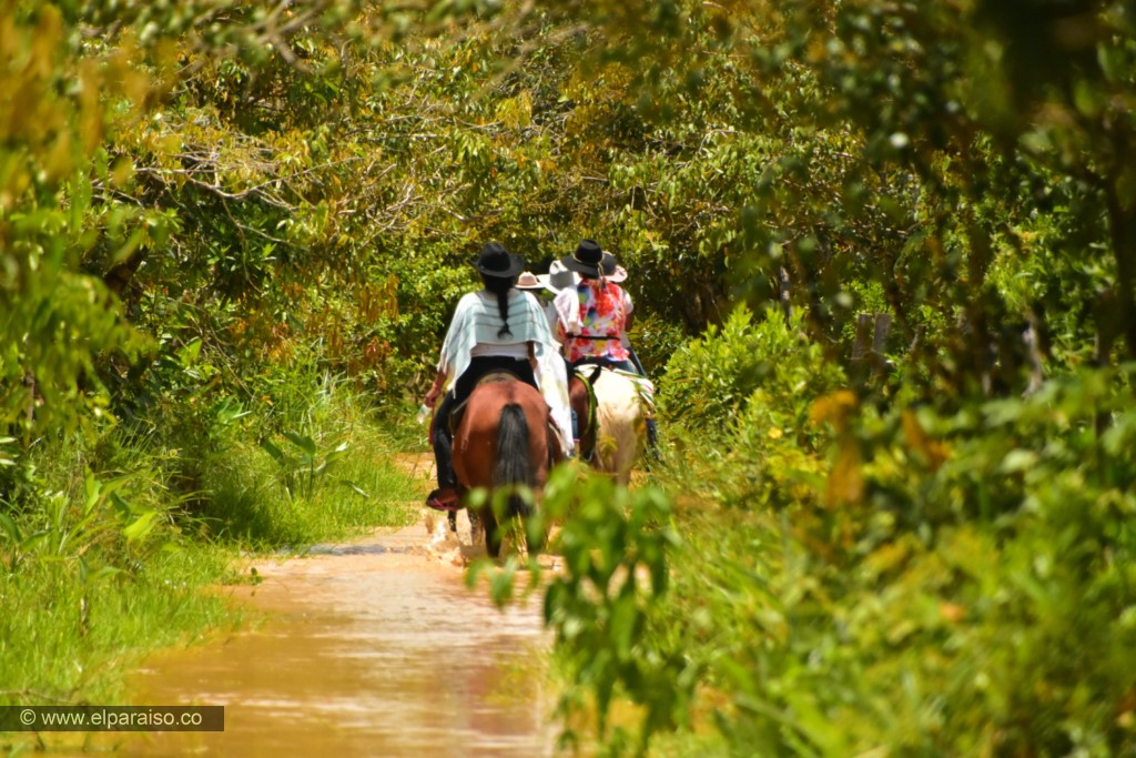 15 finca el paraiso yopal casanare colombia turismo aventura tradicion plan pasadia cabalgata caballos atardecer llanura turistas sabana 29
