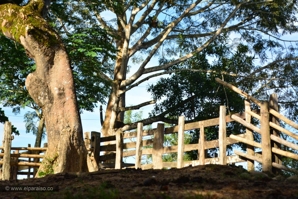 Talanquera Llanera: Tesoro Cultural y Tradición 2 15 finca el paraiso yopal casanare colombia turismo aventura tradicion plan pasadia cabalgata caballos atardecer llanura turistas sabana 444
