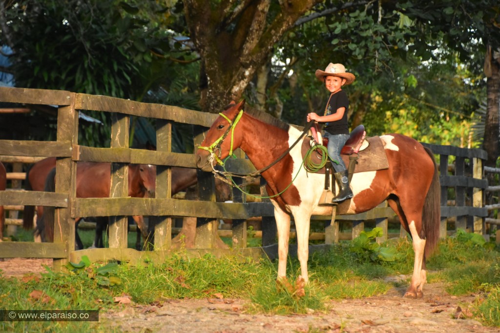 15 finca el paraiso yopal casanare colombia turismo aventura tradicion plan pasadia cabalgata caballos atardecer llanura turistas sabana ninos papa familia 9
