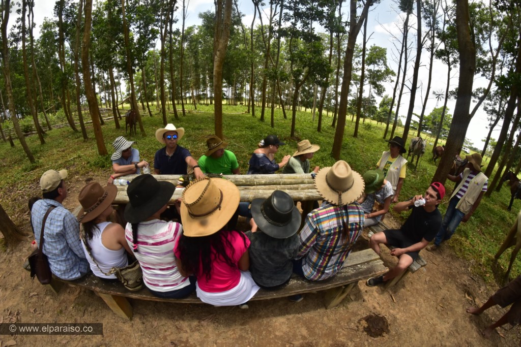 19 finca el paraiso yopal casanare colombia turismo aventura tradicion plan pasadia cabalgata caballos atardecer llanura turistas aperos sillas montar bosque batimento 33