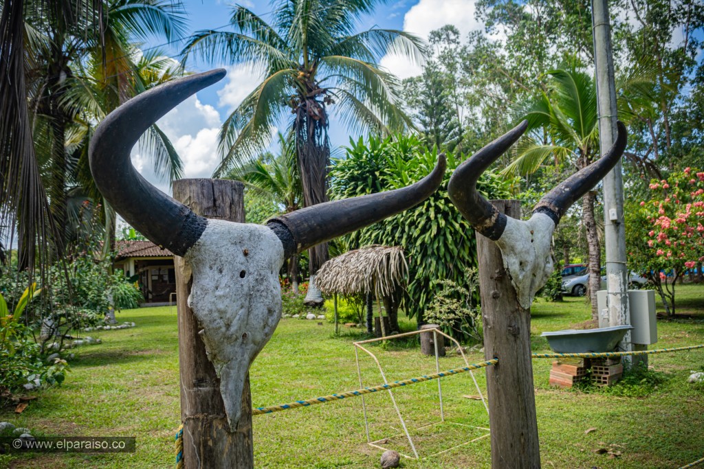 finca el paraiso yopal casanare colombia turismo aventura tradicion pasadia actividad entornos cabanas naturaleza fauna flora biodiversidad51