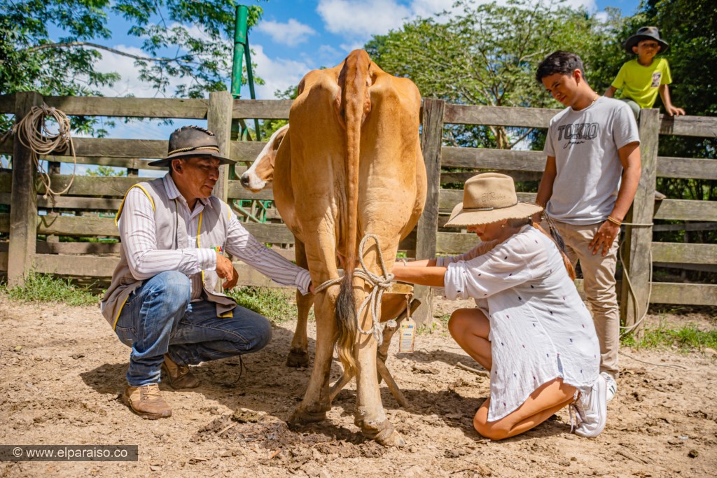 finca el paraiso yopal casanare colombia turismo aventura tradicion pasadia actividad llanero dia ordeno 141