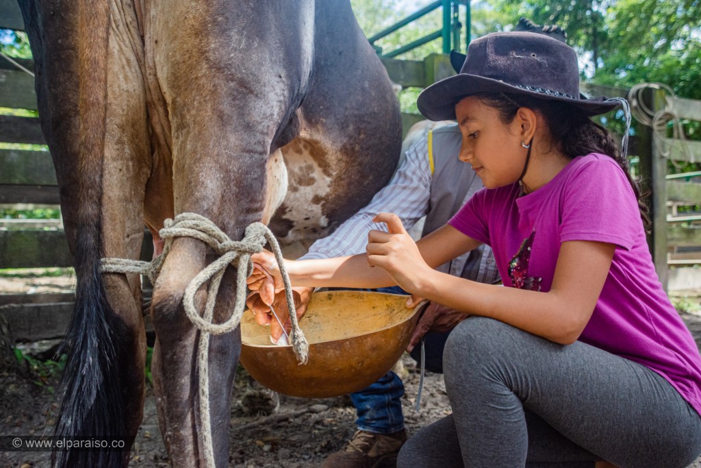 finca el paraiso yopal casanare colombia turismo aventura tradicion pasadia actividad llanero dia ordeno 55