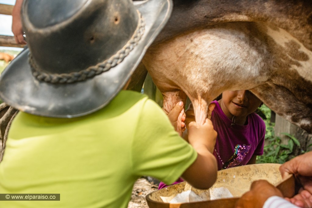 finca el paraiso yopal casanare colombia turismo aventura tradicion pasadia actividad llanero dia ordeno 78