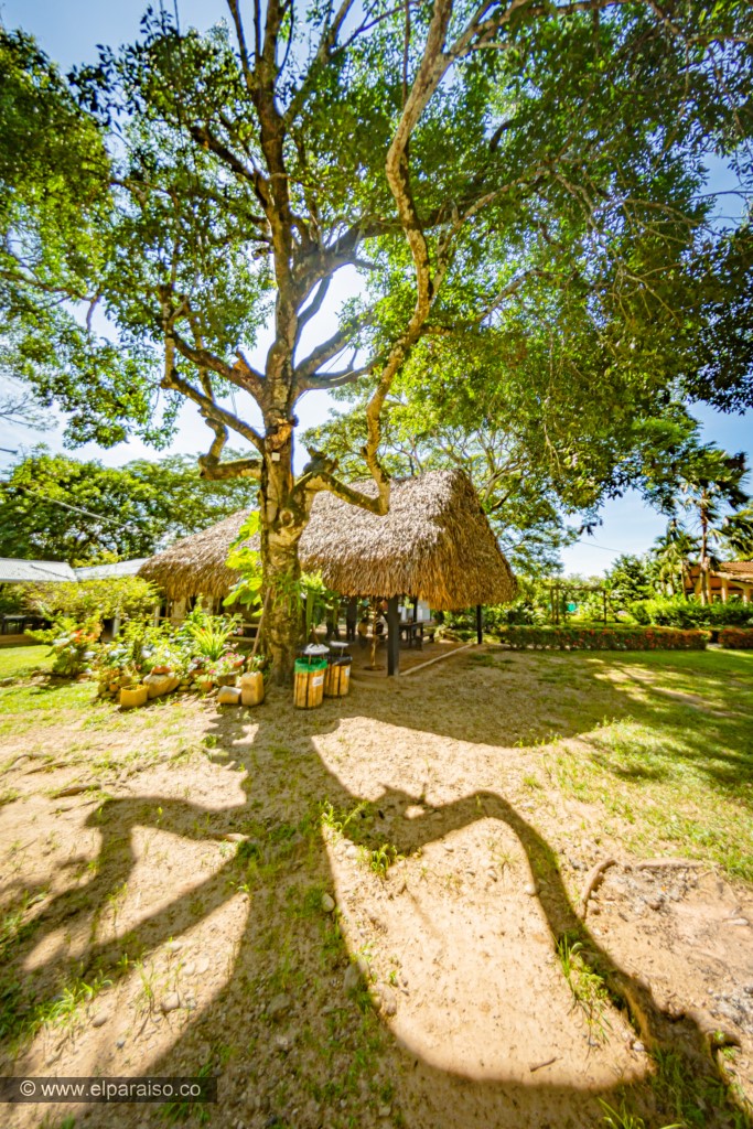 finca el paraiso yopal casanare colombia turismo aventura tradicion pasadia actividad llanero dia ordeno casa cam 183