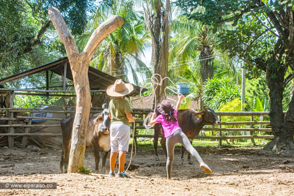 finca el paraiso yopal casanare colombia turismo aventura tradicion pasadia actividad llanero dia ordeno enlazado 167