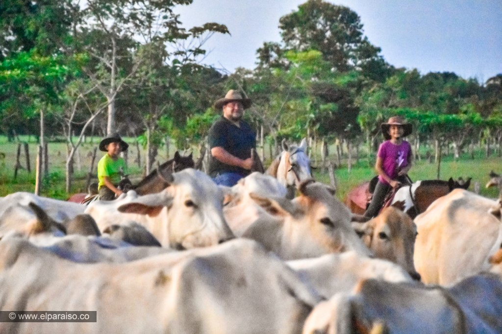 finca el paraiso yopal casanare colombia turismo aventura tradicion plan pasadia cabalgata caballos atardecer llanura turistas gana 56
