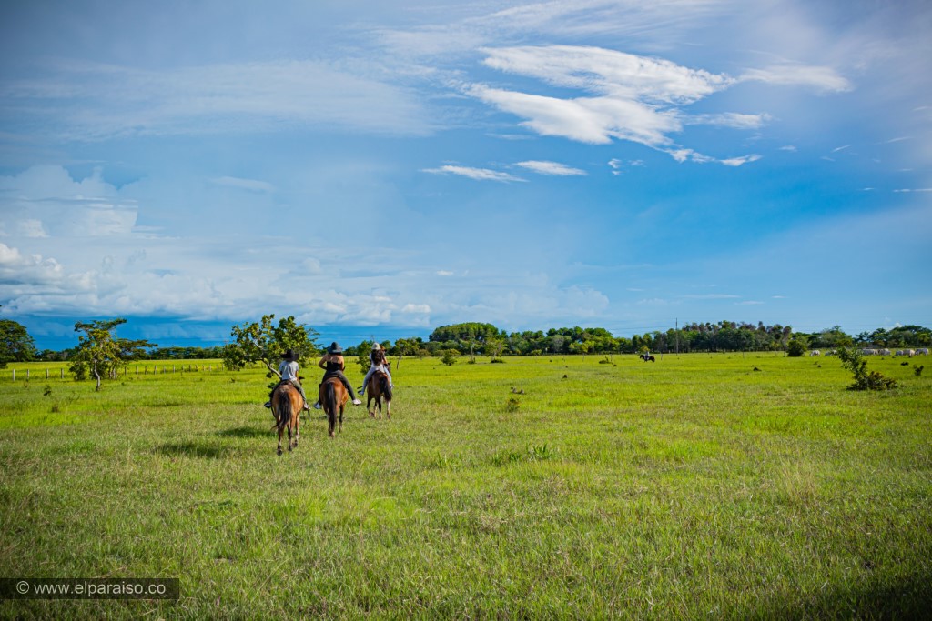 finca el paraiso yopal casanare colombia turismo aventura tradicion plan pasadia cabalgata caballos atardecer llanura turistas jinetes 19