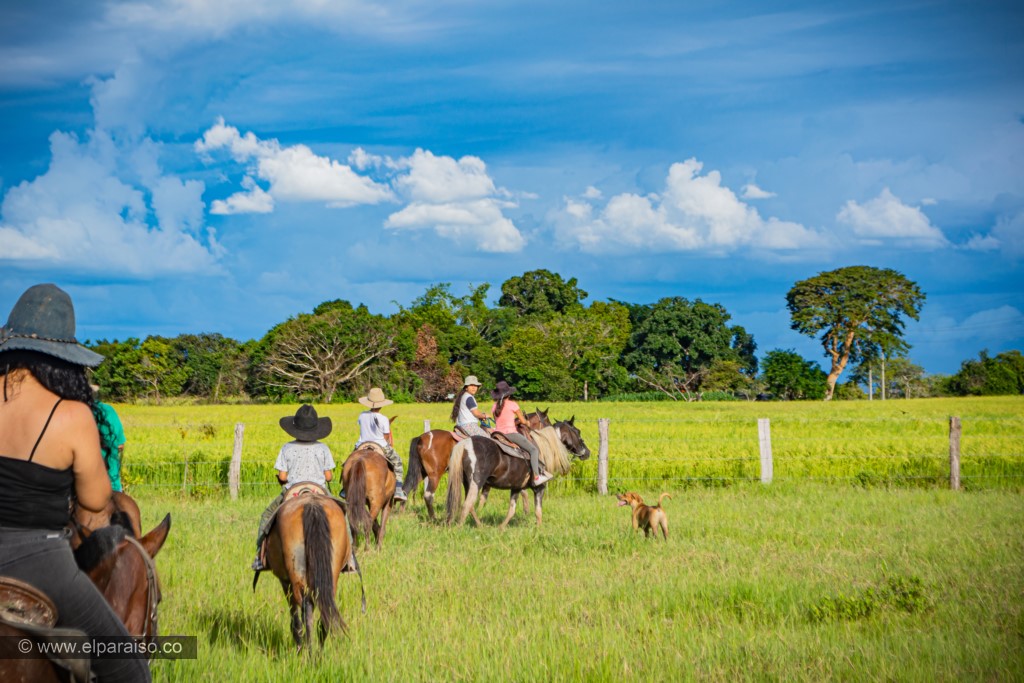 finca el paraiso yopal casanare colombia turismo aventura tradicion plan pasadia cabalgata caballos atardecer llanura turistas jinetes 35