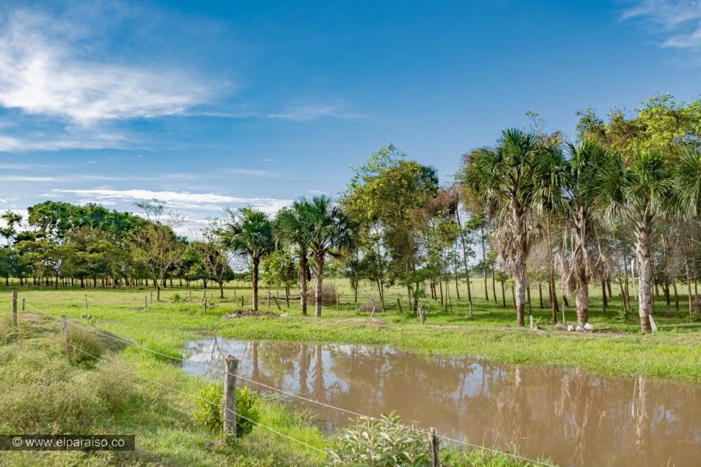 finca el paraiso yopal casanare colombia turismo aventura tradicion plan pasadia cabalgata caballos atardecer llanura turistas paso 129