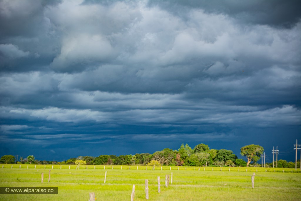 finca el paraiso yopal casanare colombia turismo aventura tradicion plan pasadia cabalgata caballos llanura turista 35