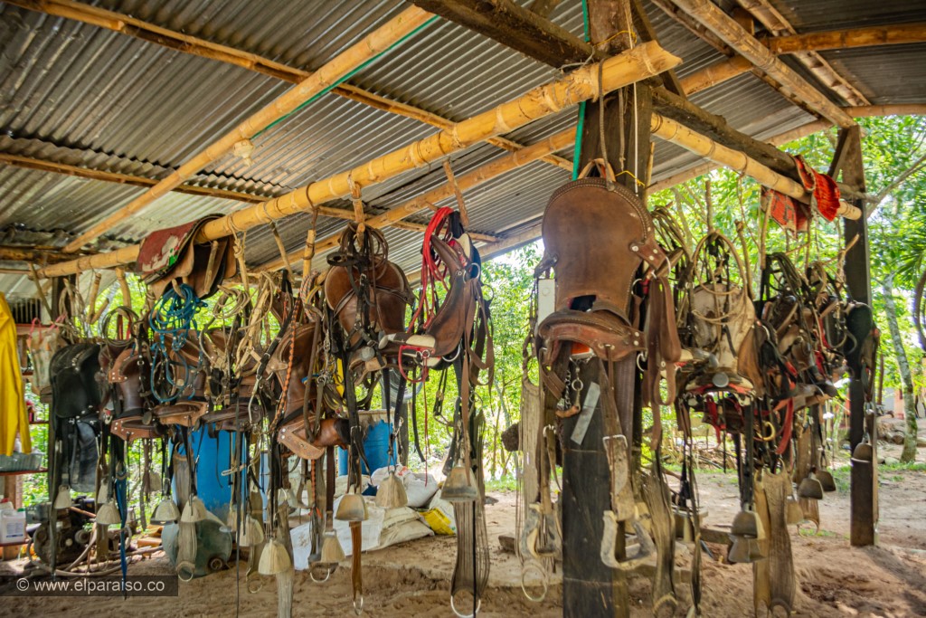 finca el paraiso yopal casanare colombia turismo aventura tradicion plan pasadia cabalgata caballos turistas caballeriza aperos criollos7