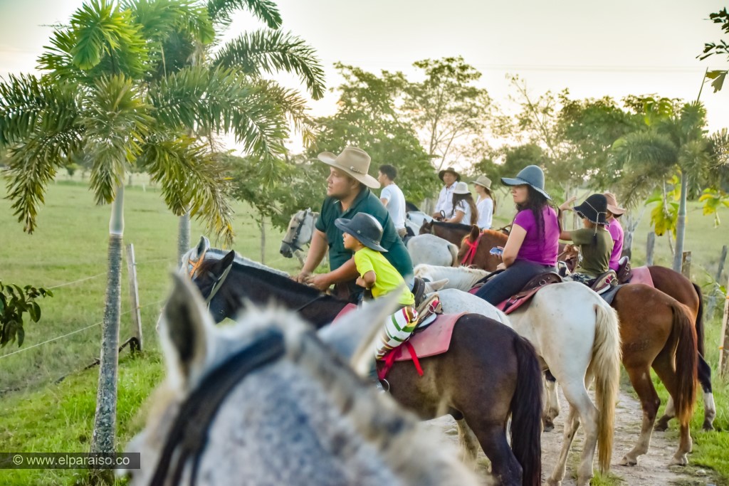 15 finca el paraiso yopal casanare colombia turismo aventura tradicion planes pasadia cabalgando llanura museo llanero avistamiento sabana HD 1