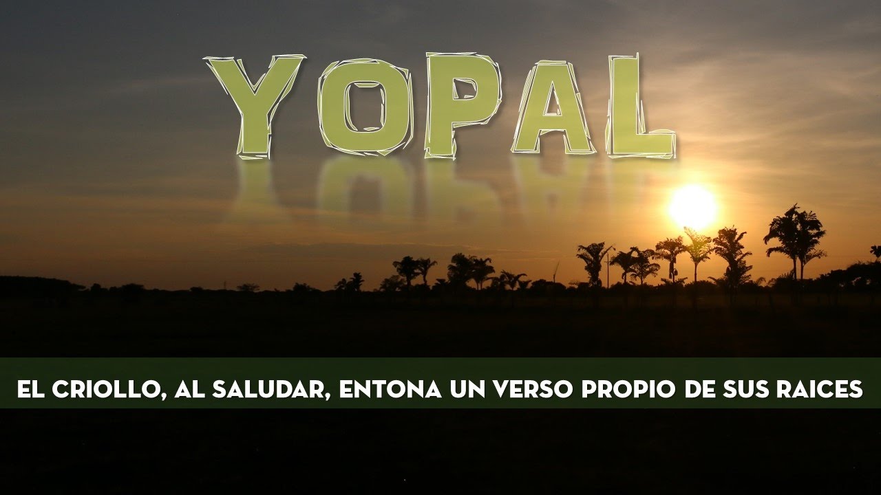 Del estero al morichal una aventura llanera. Yopal dia 1 y 2 BQ