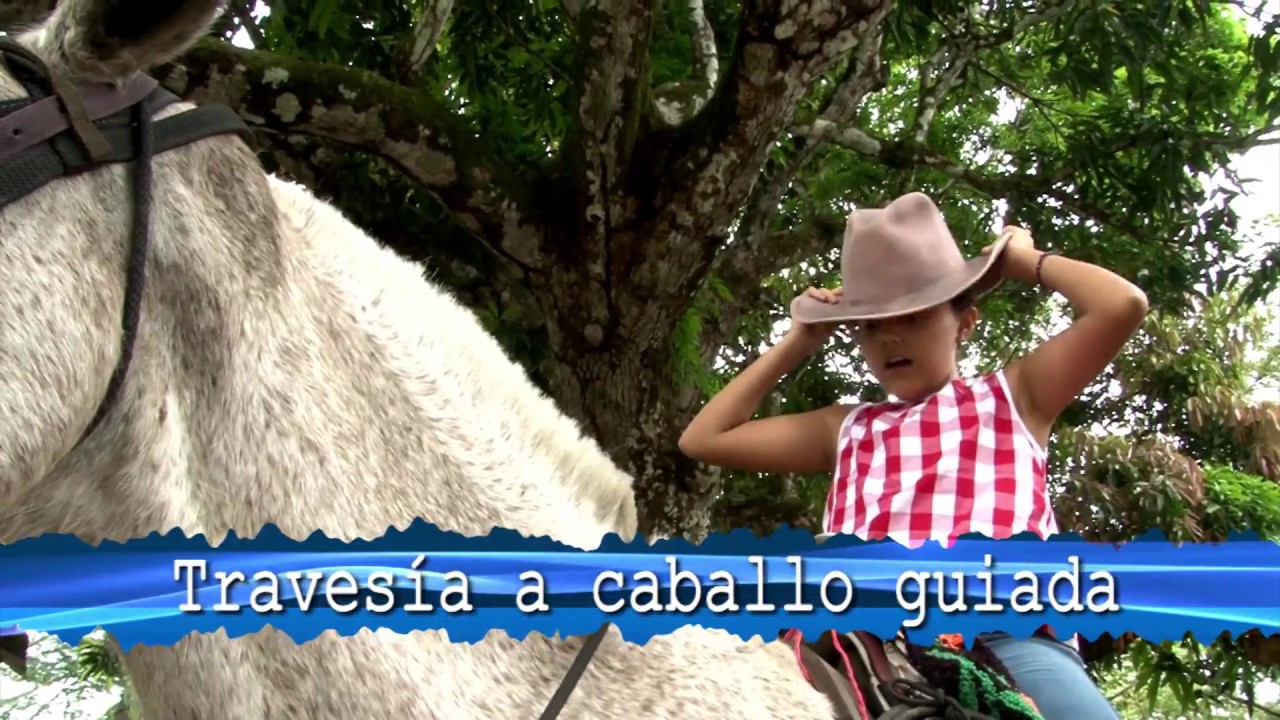Finca El Paraiso Yopal BQ