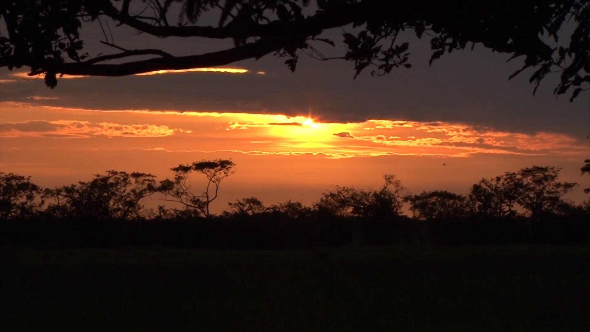 atardecer