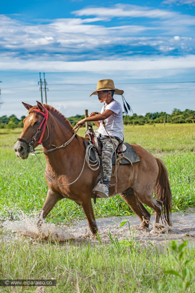 finca el paraiso yopal casanare colombia turismo aventura tradicion plan pasadia cabalgata caballos atardecer llanura 25