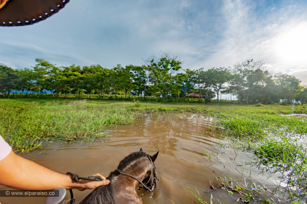 finca el paraiso yopal casanare colombia turismo aventura tradicion plan pasadia cabalgata caballos atardecer llanura turistas sabana HD 2