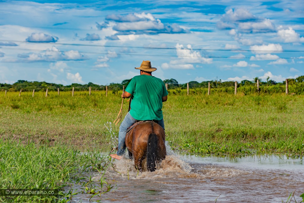 finca el paraiso yopal casanare colombia turismo aventura tradicion plan pasadia cabalgata caballos atardecer llanura turistas sabana HD 3
