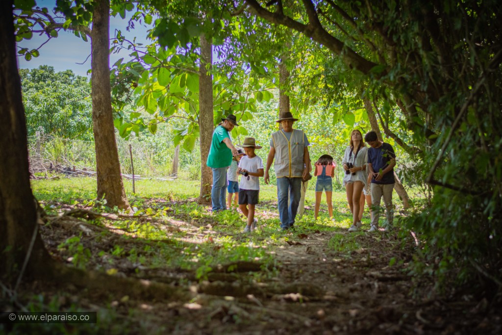 finca el paraiso yopal casanare colombia turismo aventura tradicion plan pasadia llanero por un dia curiara cabalgata ordeno museo llanero criollo HD 3
