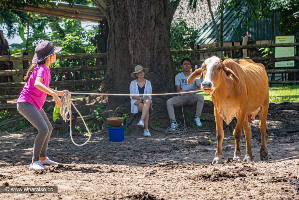 finca el paraiso yopal casanare colombia turismo aventura tradicion plan pasadia llanero por un dia curiara cabalgata ordeno museo llanero criollo14 2 2