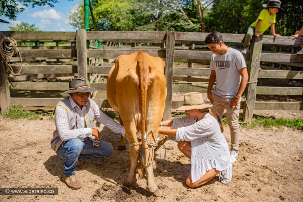 finca el paraiso yopal casanare colombia turismo aventura tradicion plan pasadia llanero por un dia curiara cabalgata ordeno museo llanero criollo27 2 2