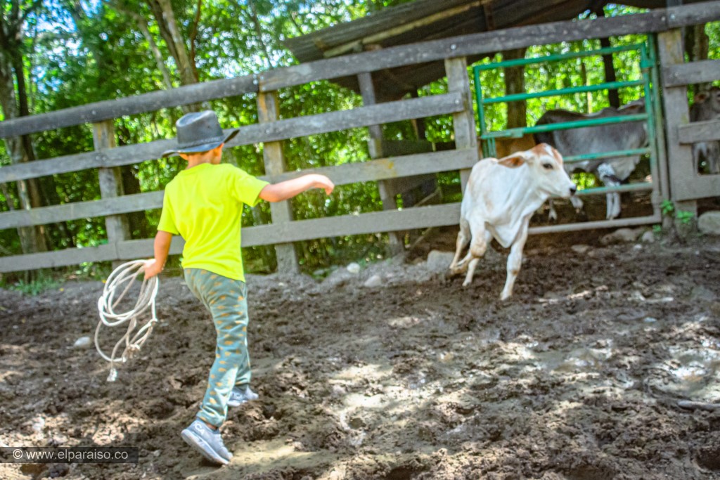 finca el paraiso yopal casanare colombia turismo aventura tradicion plan pasadia llanero por un dia curiara cabalgata ordeno museo llanero criollo29 2 2