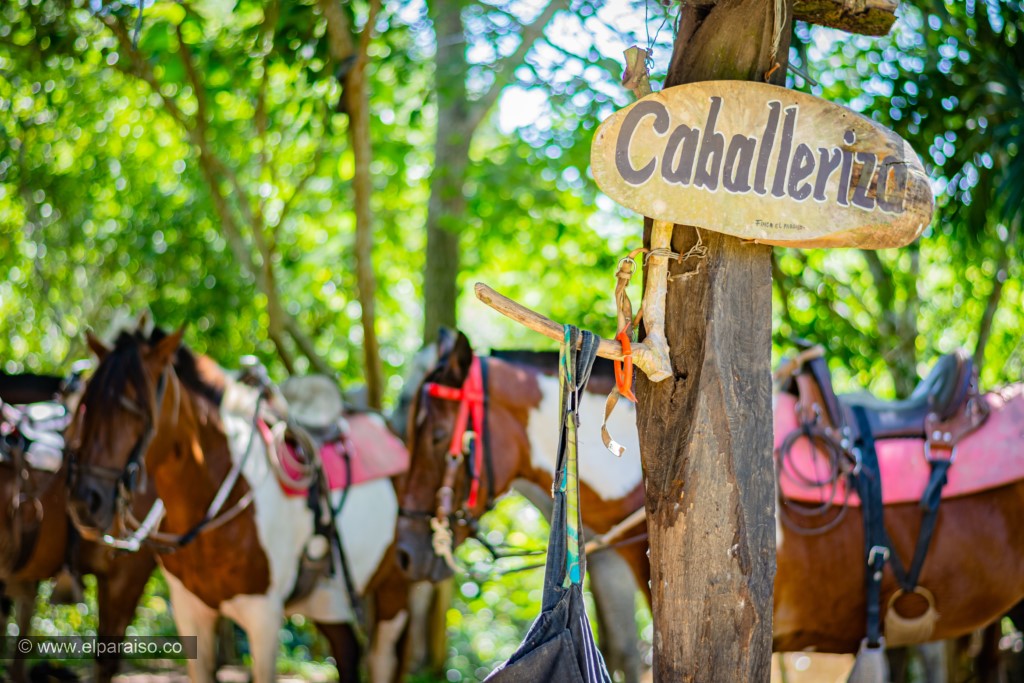 finca el paraiso yopal casanare colombia turismo aventura tradicion plan pasadia llanero por un dia curiara cabalgata ordeno museo llanero criollo35 2 2