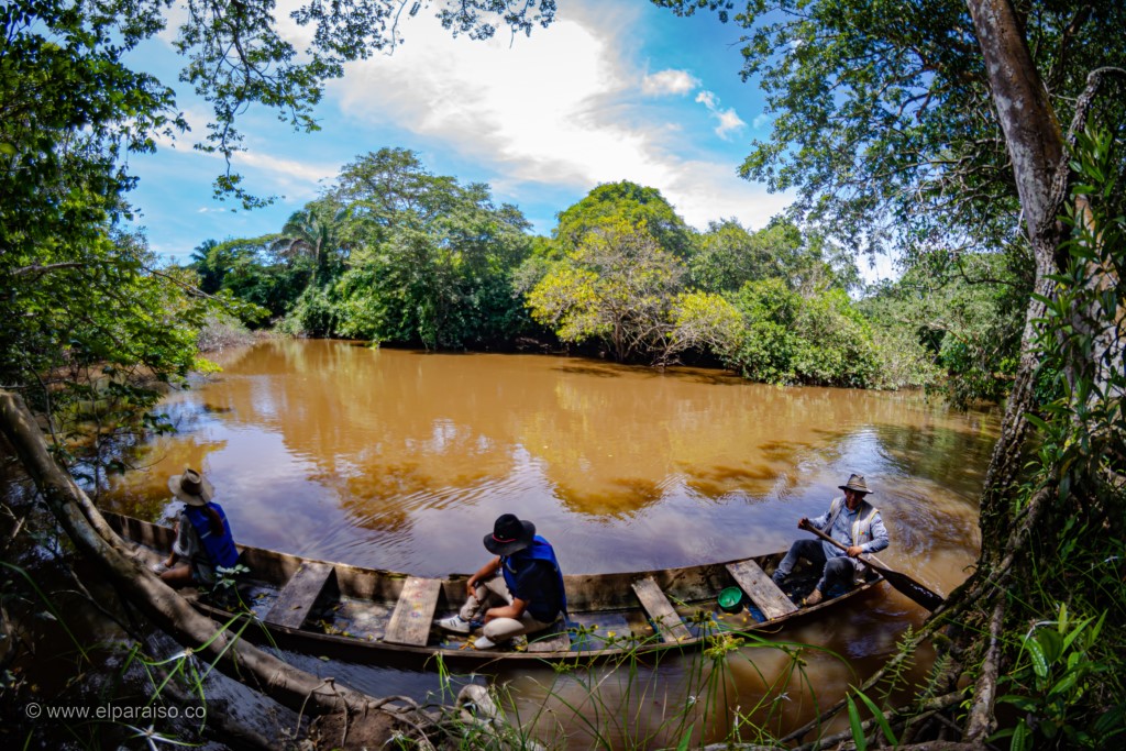 finca el paraiso yopal casanare colombia turismo aventura tradicion plan pasadia llanero por un dia curiara cabalgata ordeno museo llanero criollo8 2 3
