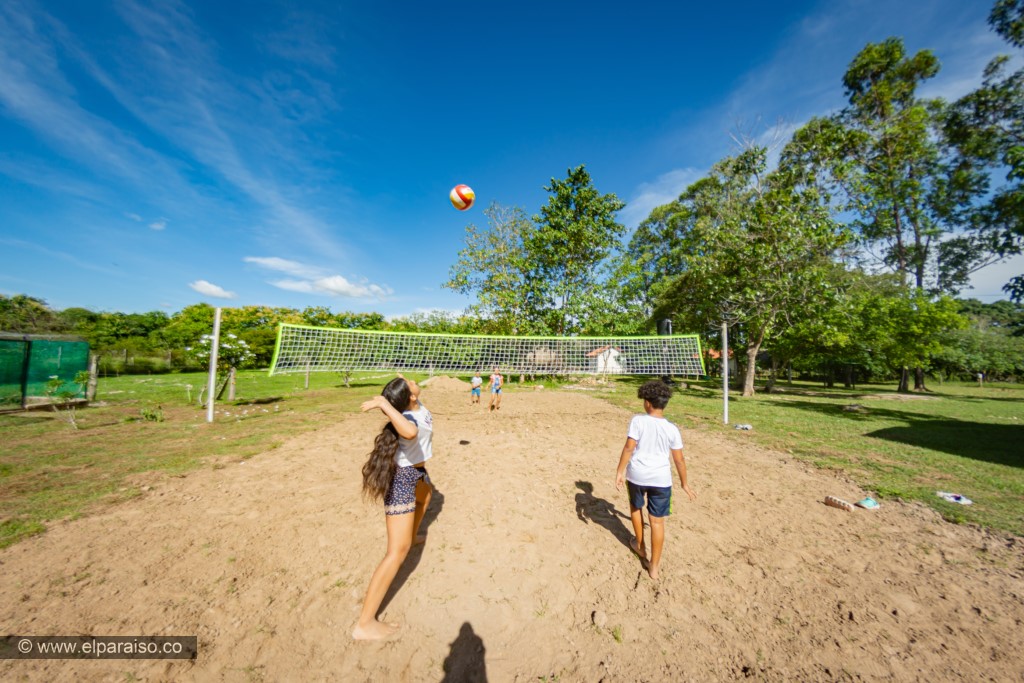 Red de voleibol para juegos deportivos, actividades de ocio